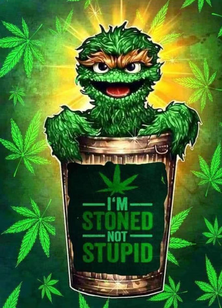 Tumbler 20 oz Stoned Stupid
